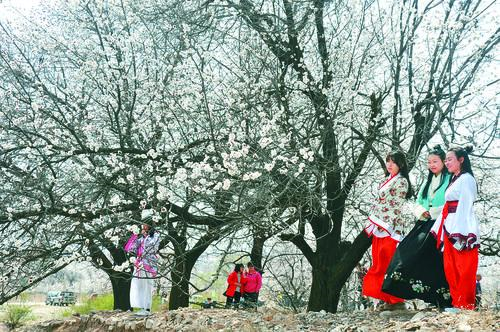 2026世界杯官方海报